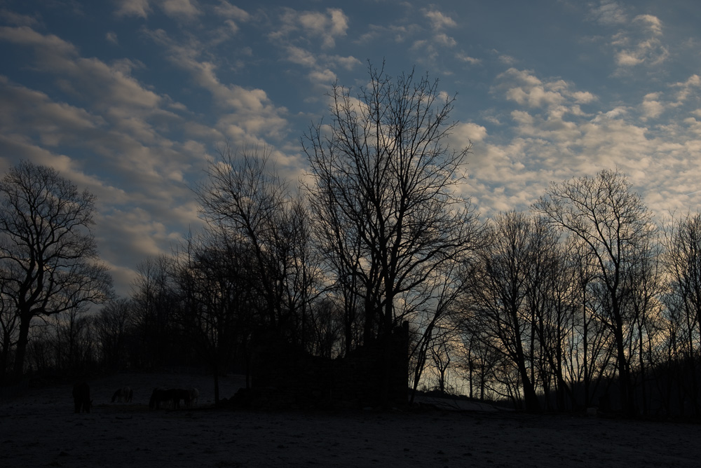 _D622191.jpg