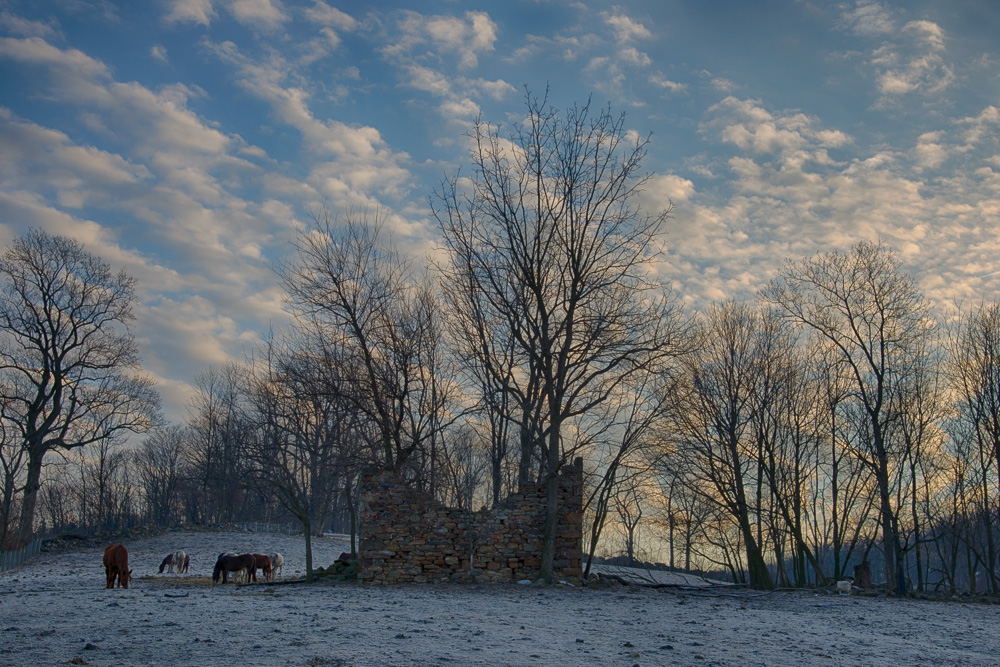 _D622191_HDR.jpg