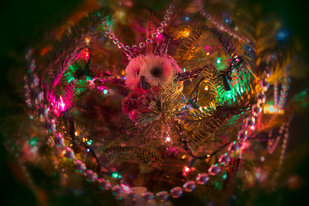 _D805474-Edit.jpg
