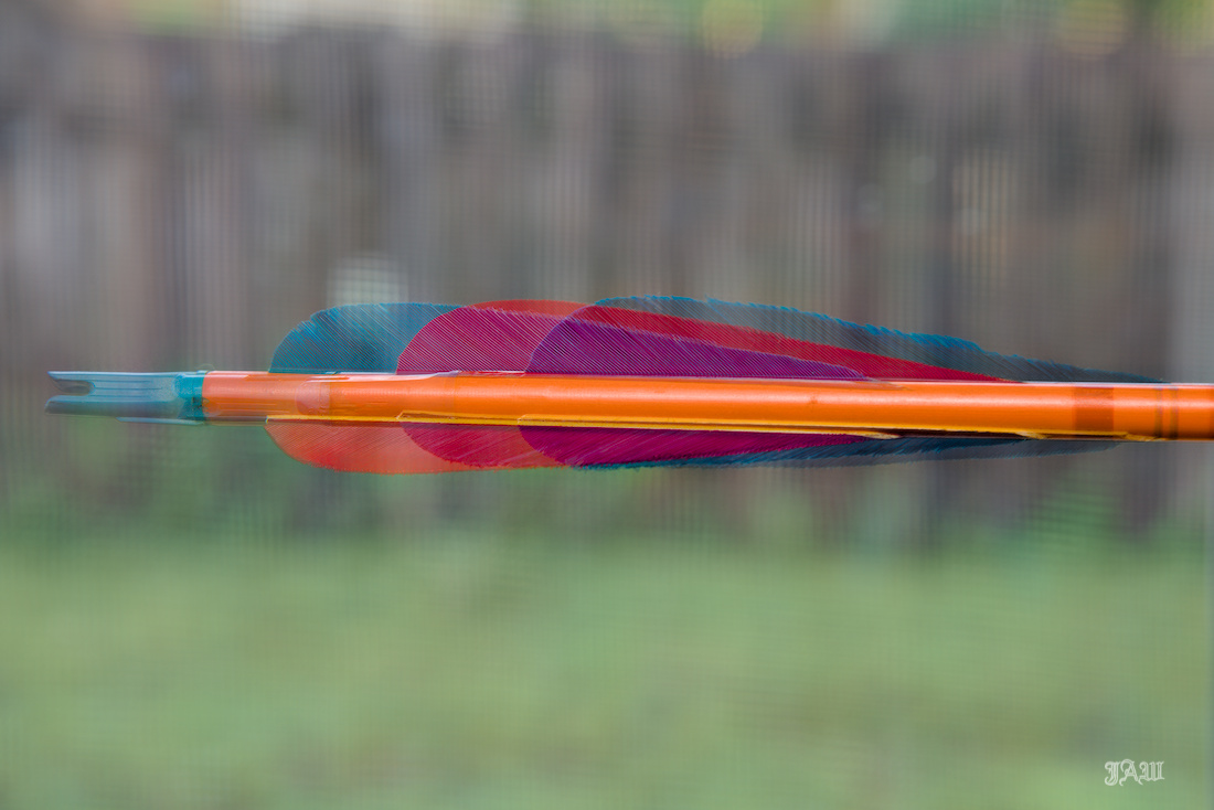 _D815176_.jpg