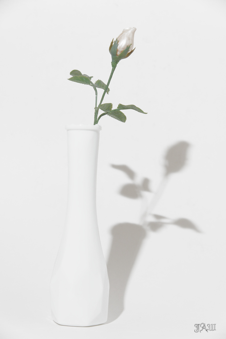 _D815229.jpg