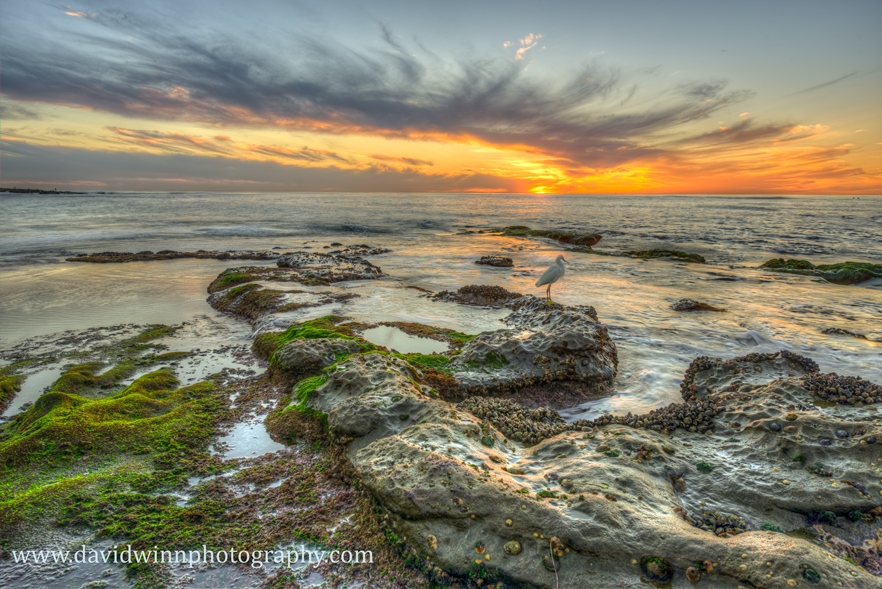 _D8A2652_3_4_5_6_7_8HDR.jpg