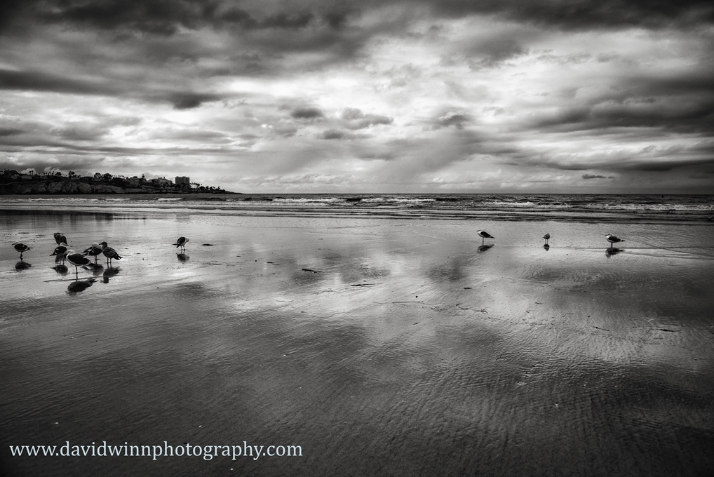 _D8A3166-Edit-3-sm.jpg