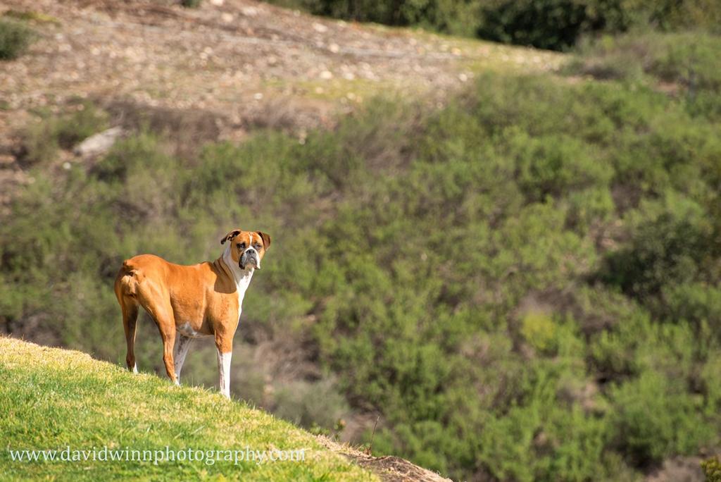 _D8A3556-Edit-Edit-ps.jpg