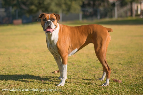 _D8A6303-Edit-ps.jpg