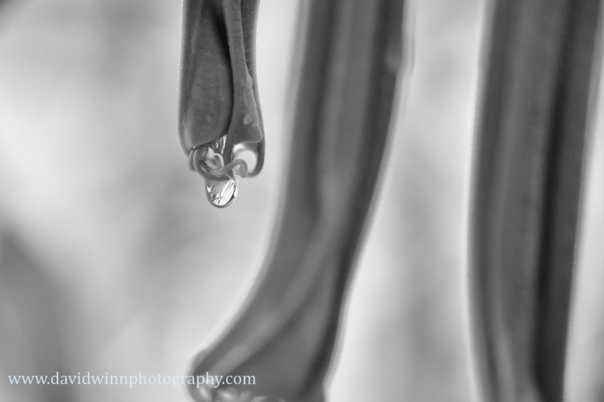 _D8A6480-Edit-Edit-Edit-Edit.jpg