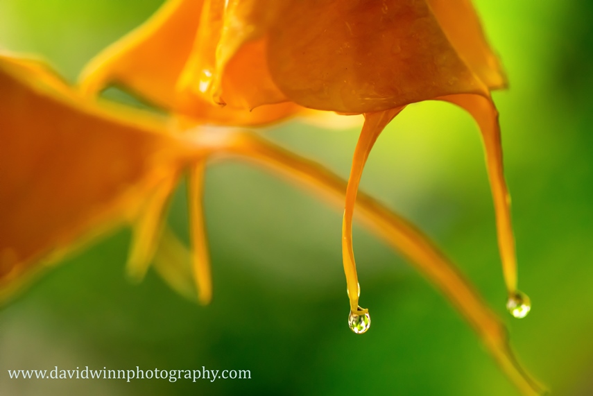 _D8A6527-Edit-Edit-Edit.jpg