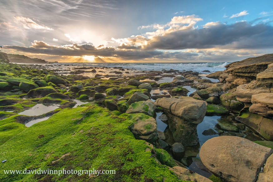 _D8A6784-Edit-sm.jpg