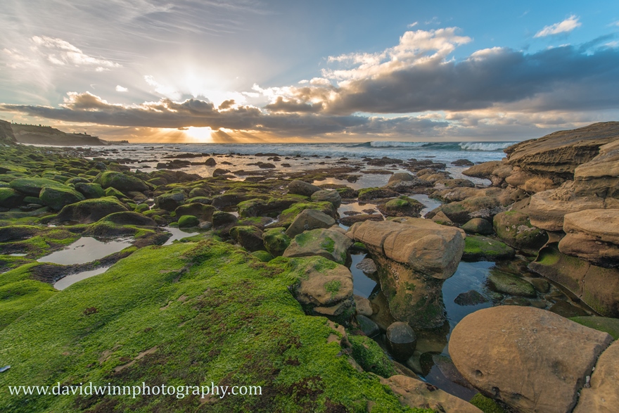 _D8A6787-Edit-sm.jpg