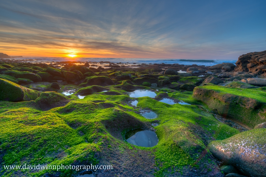 _D8A7957_58_59_60_61.jpg