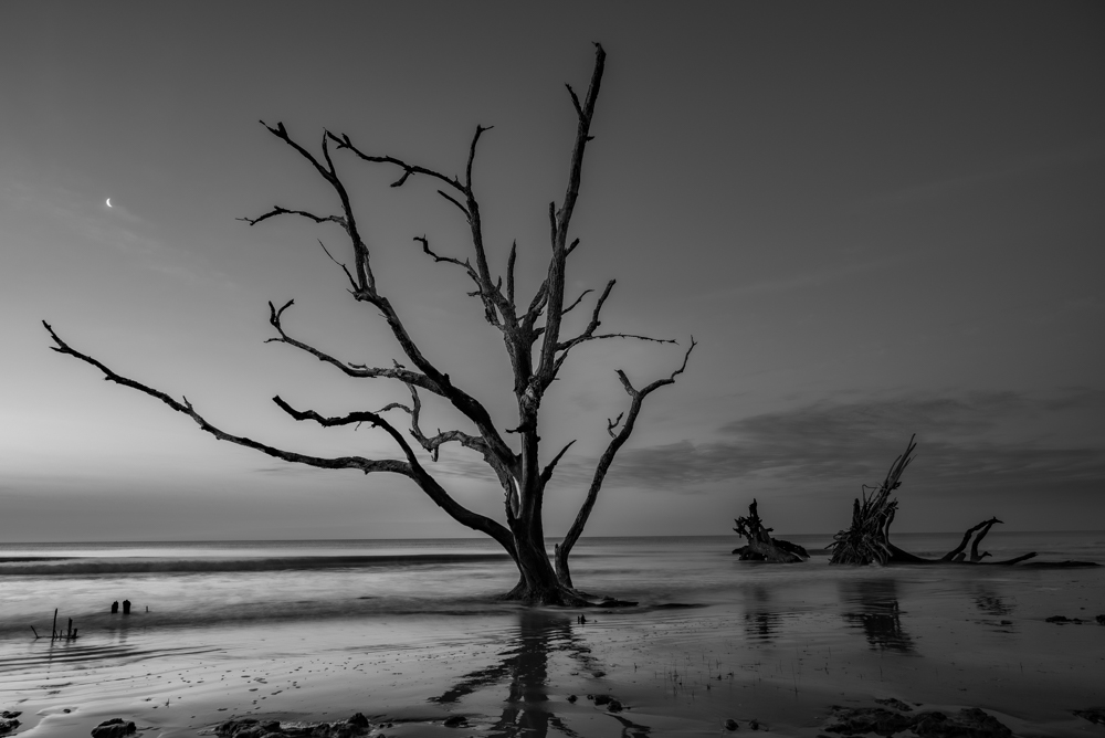 _DAB0295-HDR-4.jpg