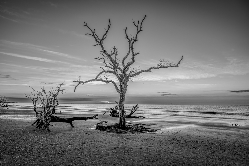 _DAB0440-HDR-4-3.jpg