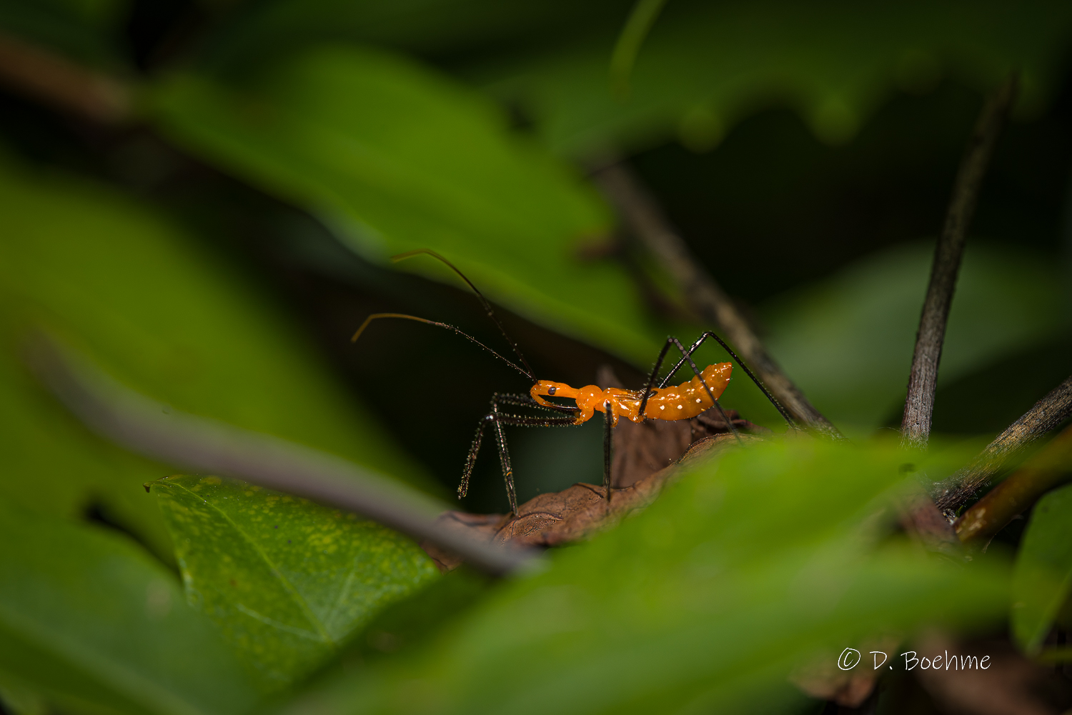 _DAB2257-SharpenAI-Motion.jpg