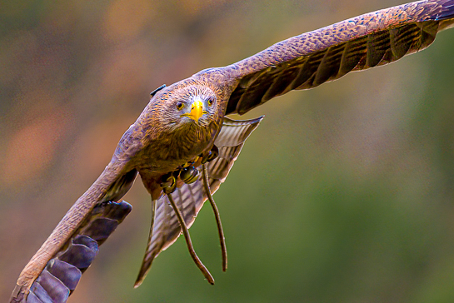 _DAB3302-SharpenAI-Motion-2.jpg