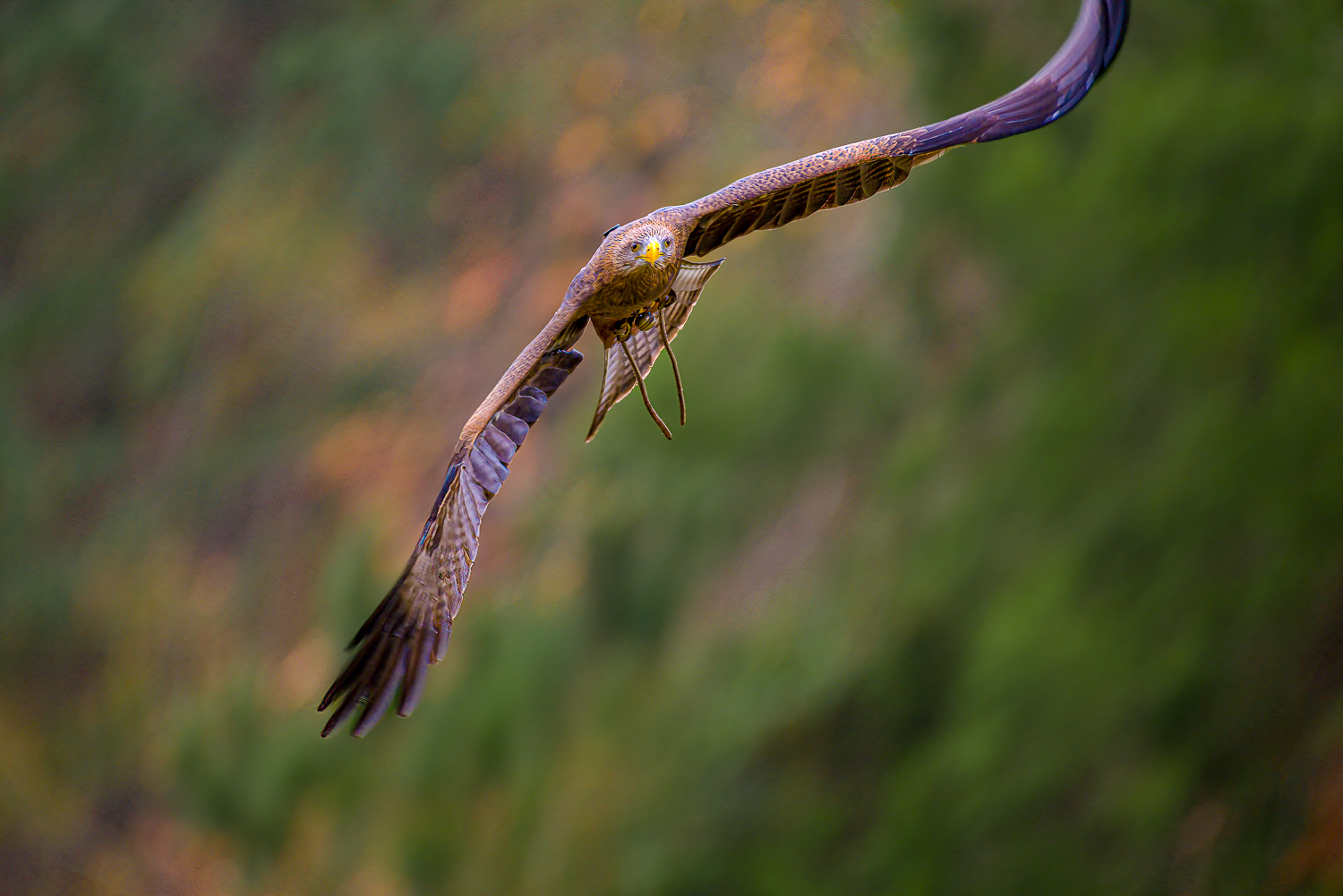 _DAB3302-SharpenAI-Motion.jpg