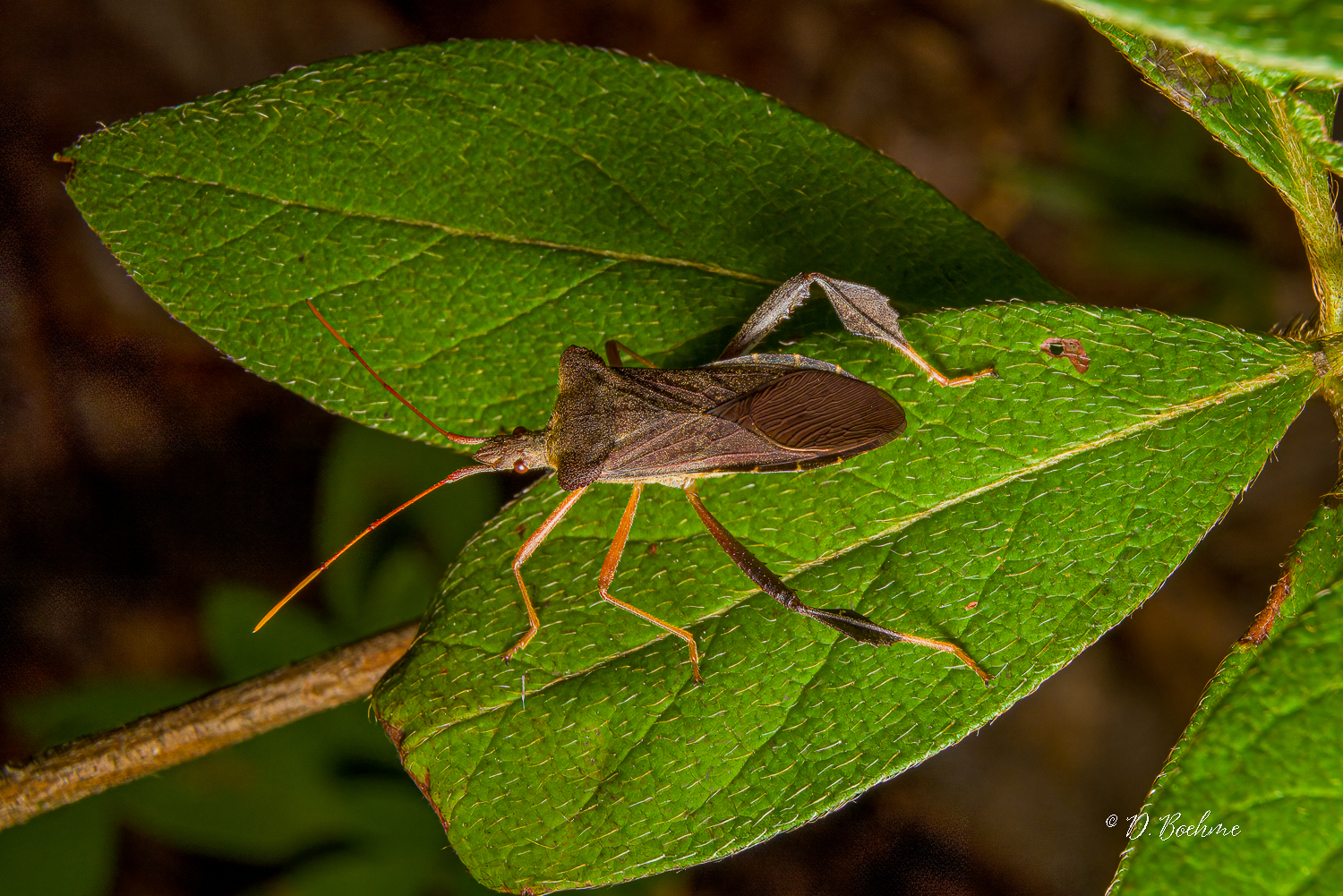 _DAB3478-SharpenAI-Motion.jpg