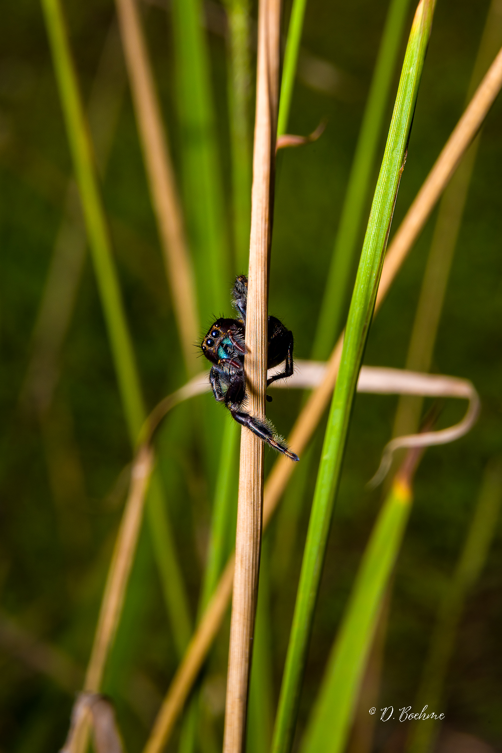 _DAB3675-SharpenAI-Motion.jpg