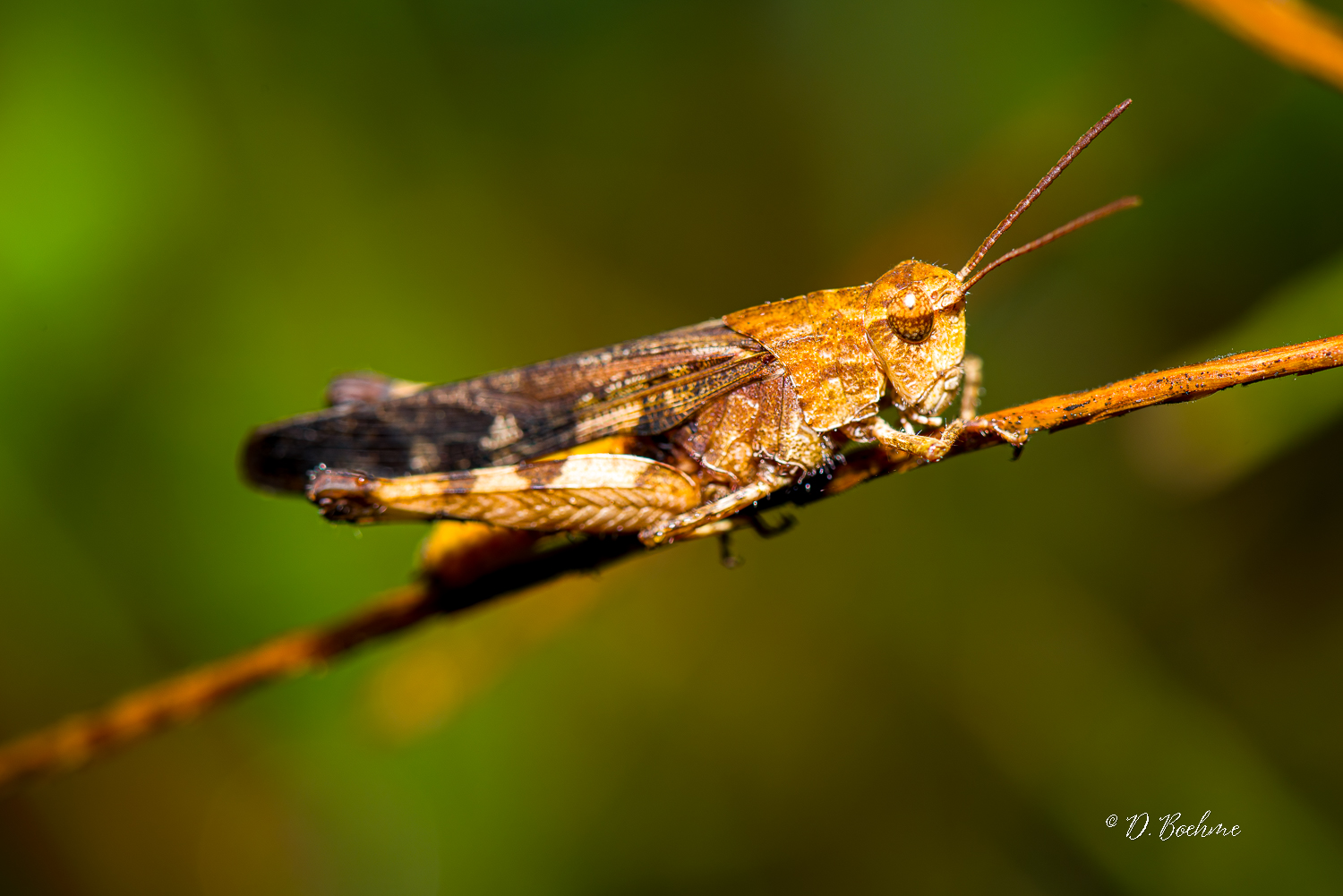_DAB4053-SharpenAI-Motion.jpg