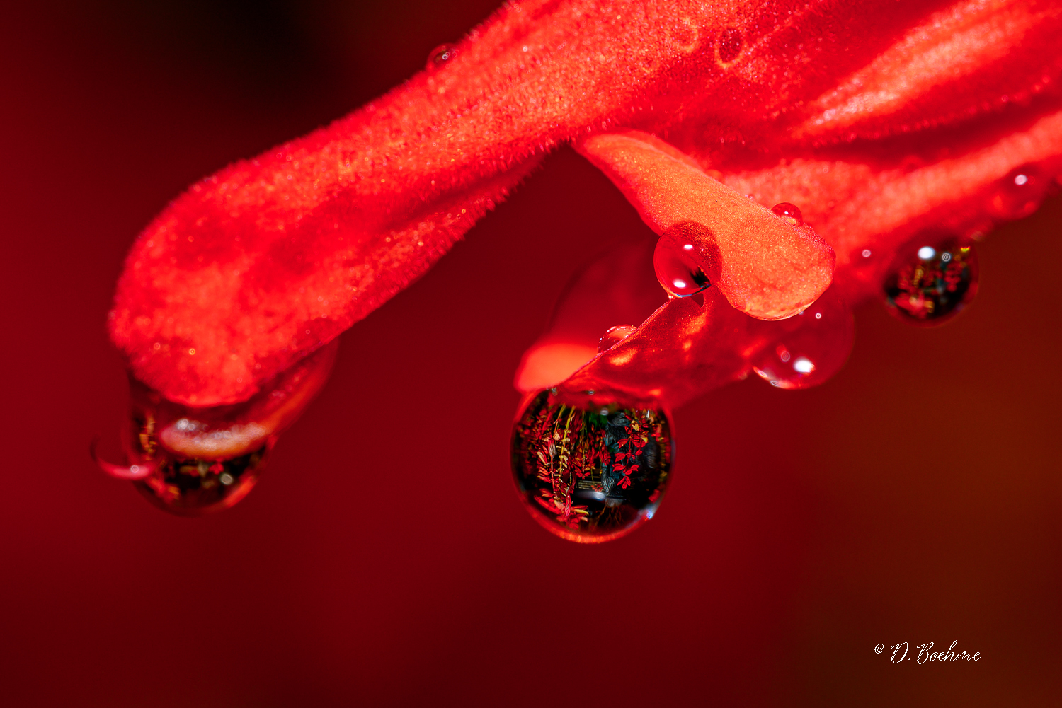_DAB5648-topaz-sharpen-2.jpg
