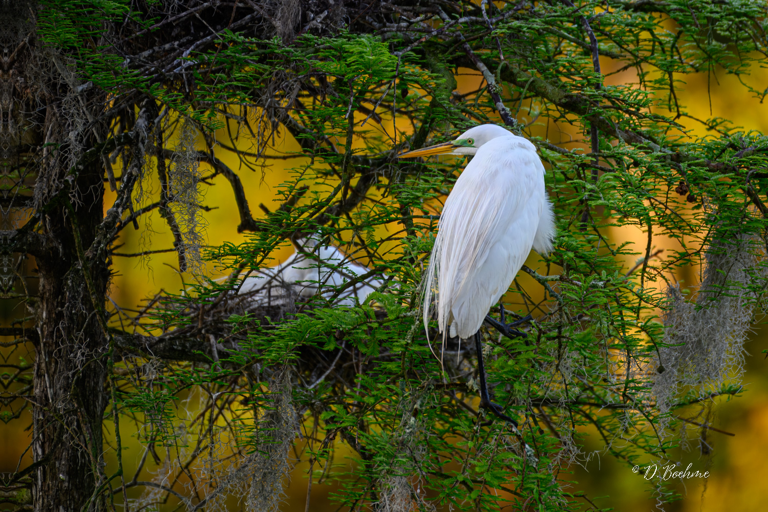 _DAB9475-topaz-denoiseraw.jpg