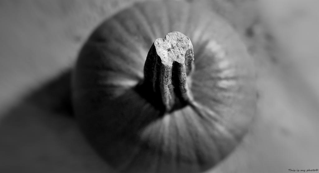 _DSC0028_07.jpg