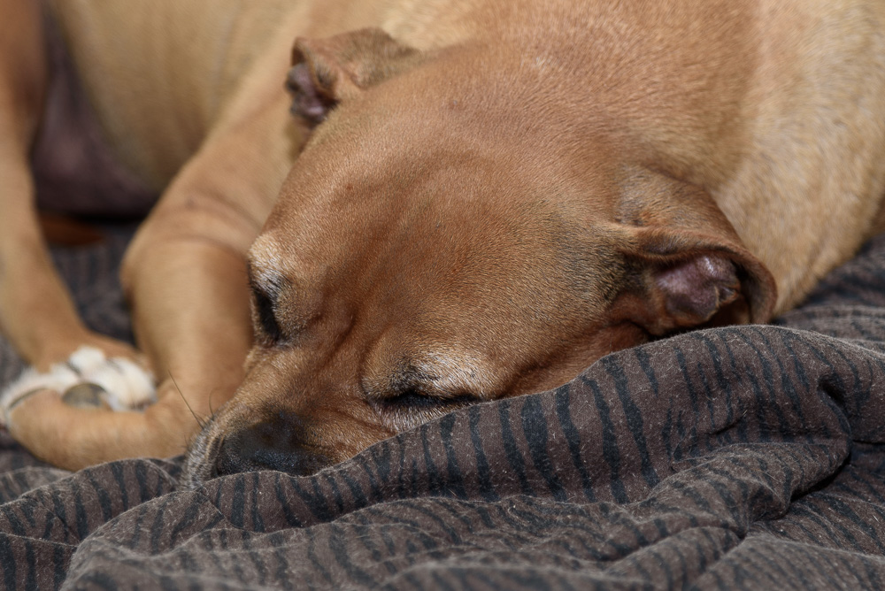 _DSC0030.jpg