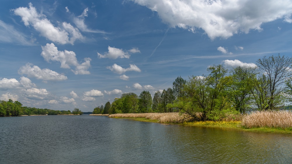 _DSC0039-Edit.jpg