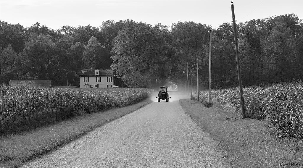 _DSC0078_01.jpg