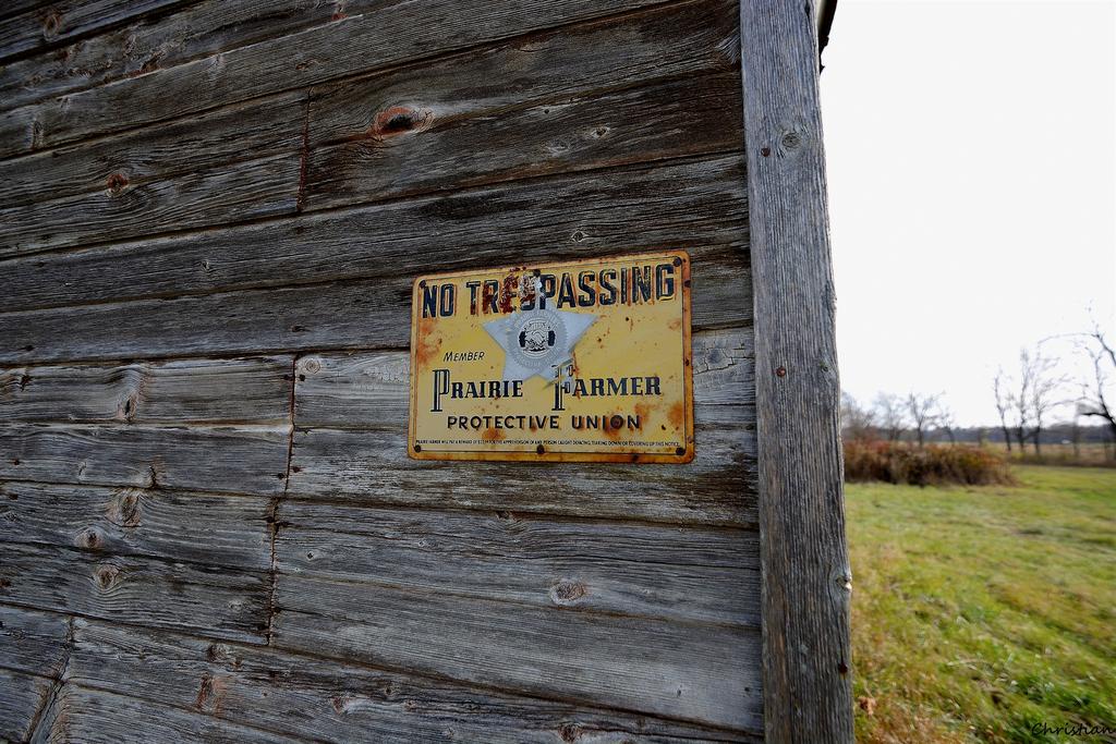 _DSC0086_01.jpg