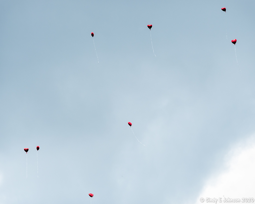 _DSC0109 low res.jpg