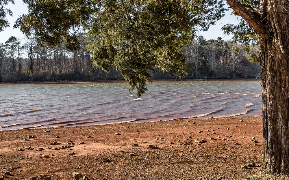 _DSC0112-Edit.jpg