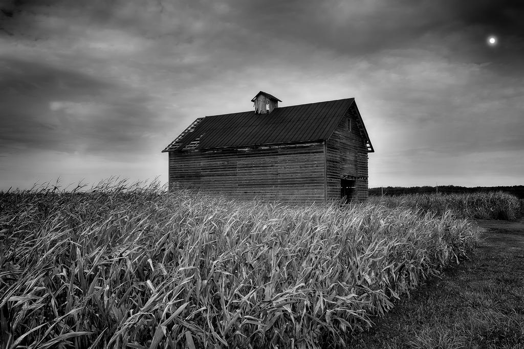 _DSC0113_HDR_6_02.jpg