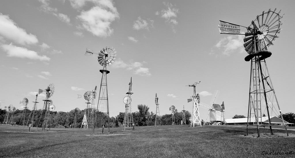 _DSC0116_01.jpg