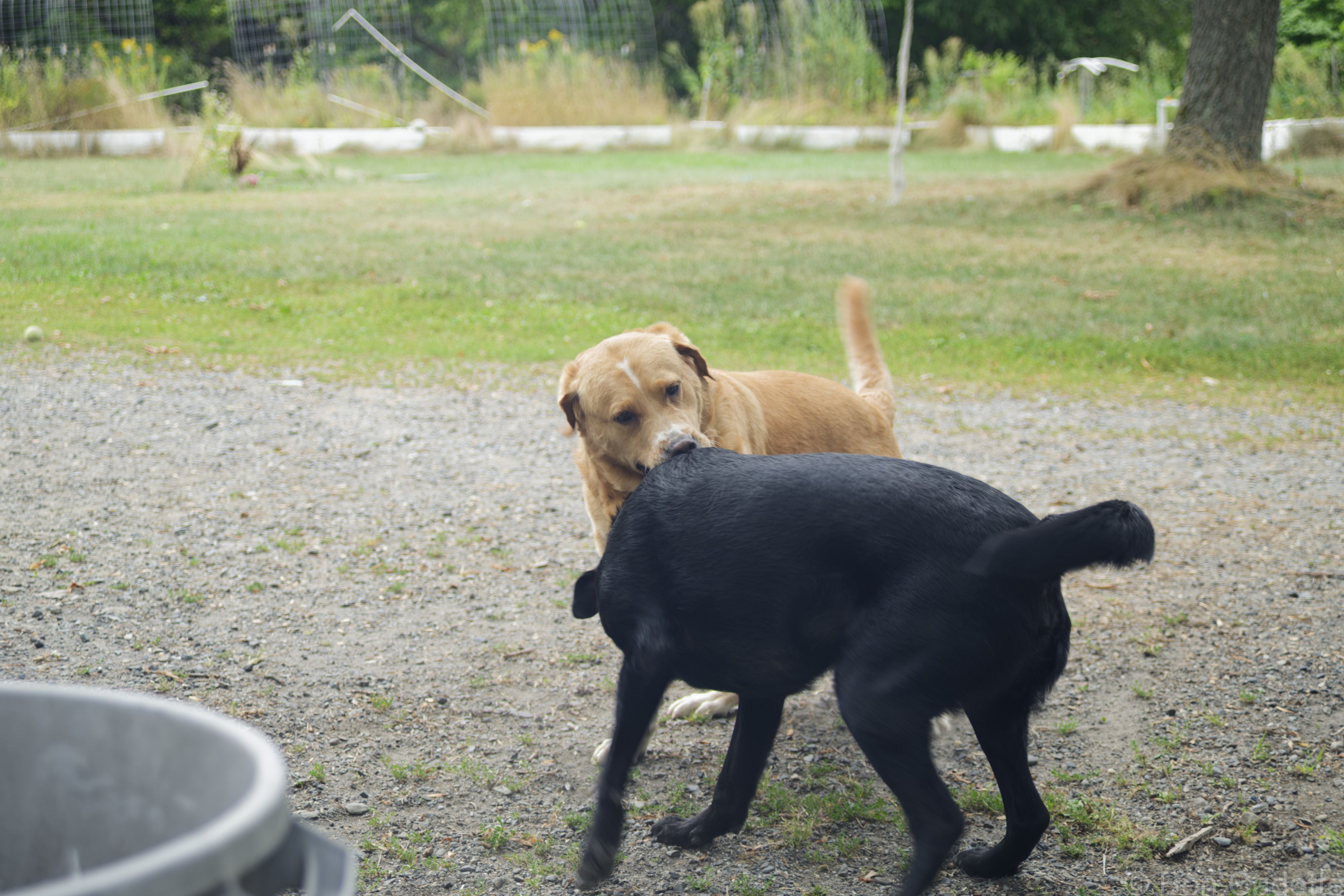 _DSC0157_DxO.jpg