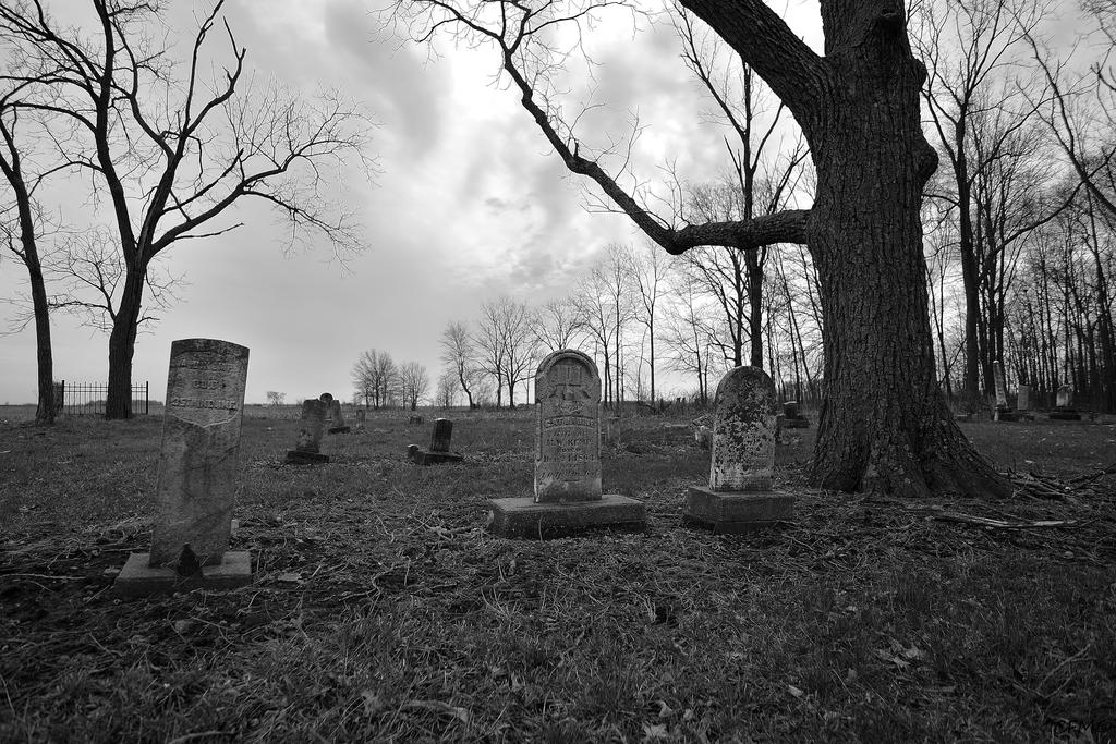 _DSC0173_01.jpg