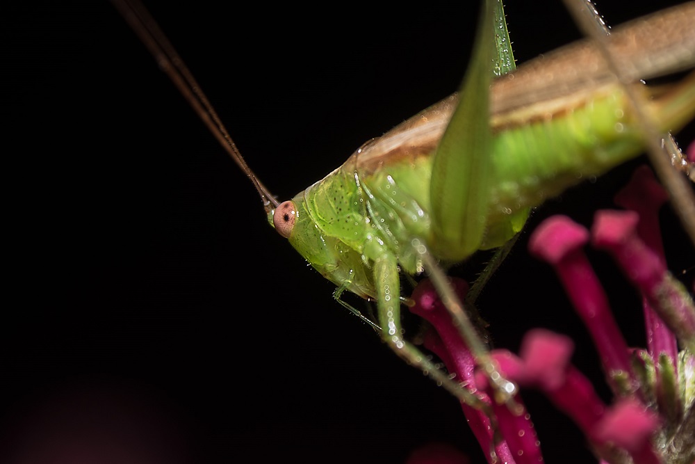 _DSC0199-Edit.jpg