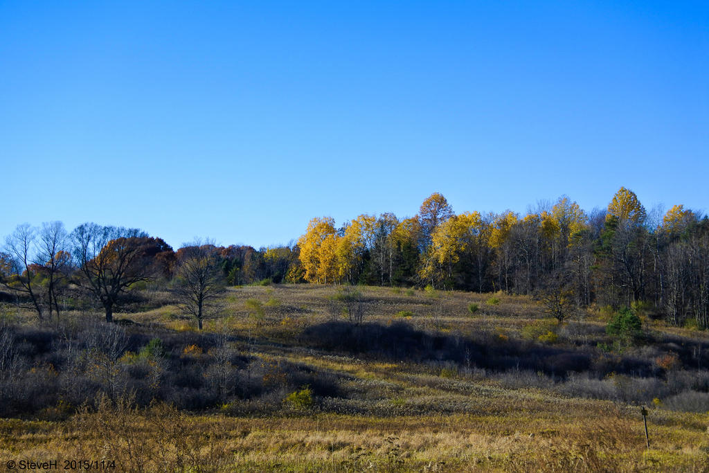 _DSC0328.jpg