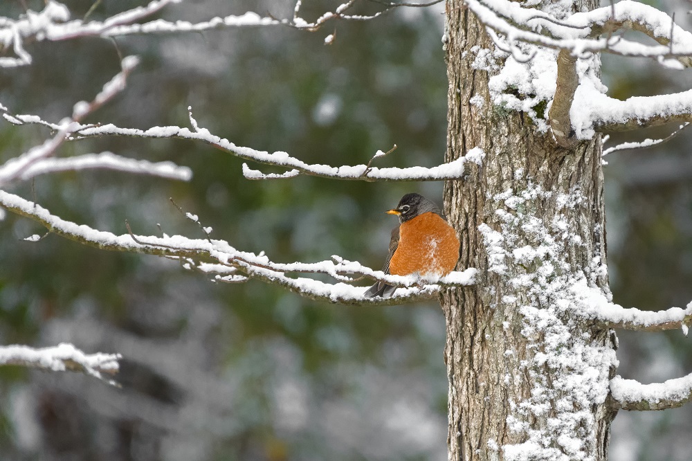_DSC0337-Edit.jpg