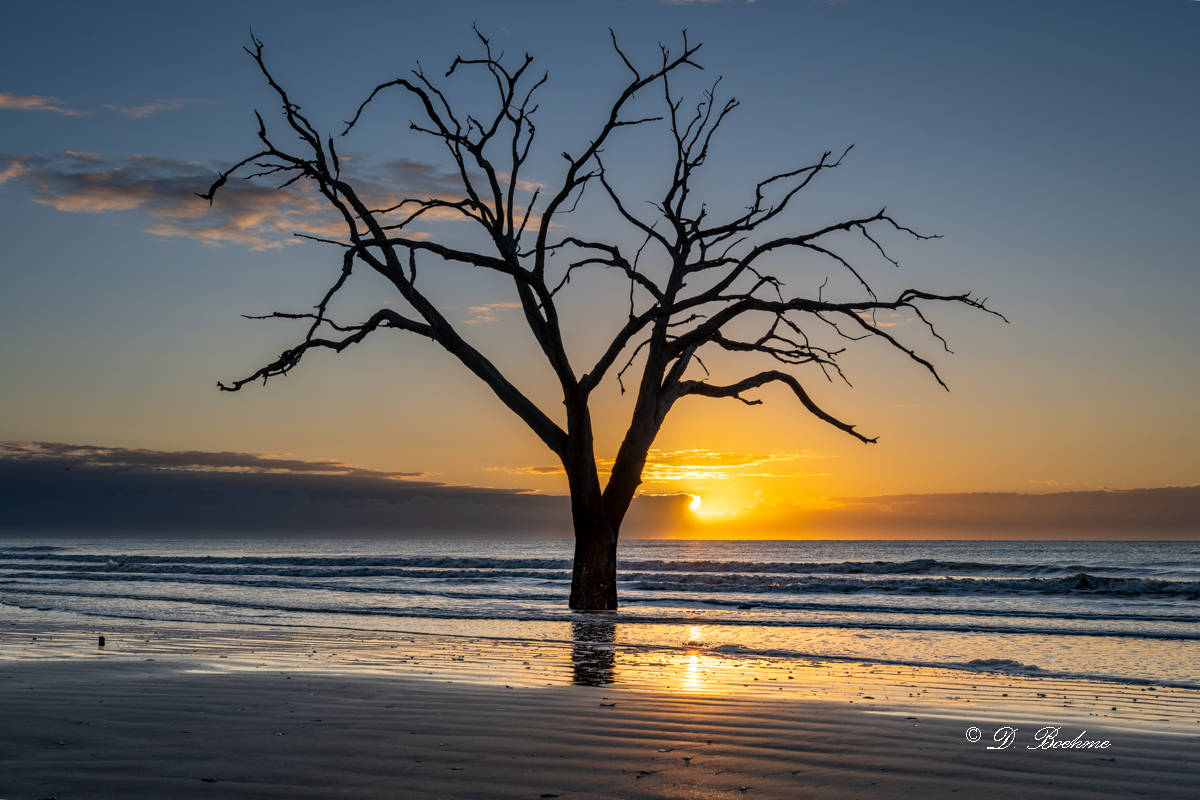 _DSC0382-HDR.jpg