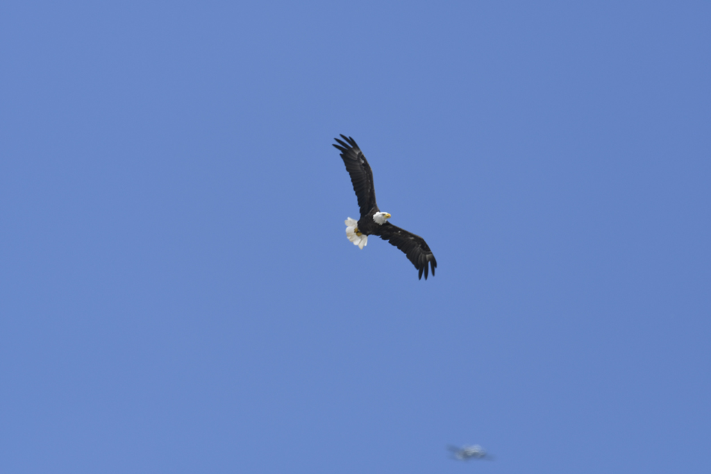 _DSC0413 low res.jpg