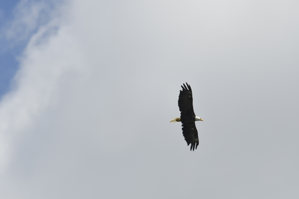 _DSC0415 low res.jpg