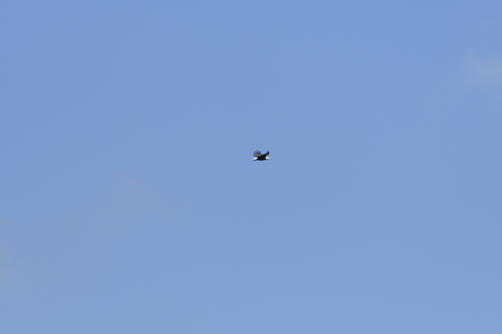 _DSC0424 low res.jpg