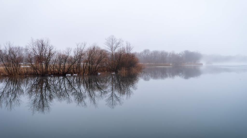 _DSC0549 low res.jpg