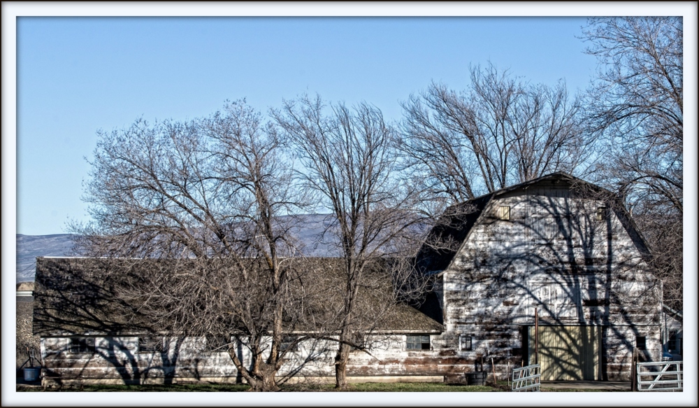 _DSC0631-Edit.jpg