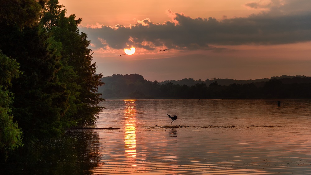 _DSC0631-Edit.jpg