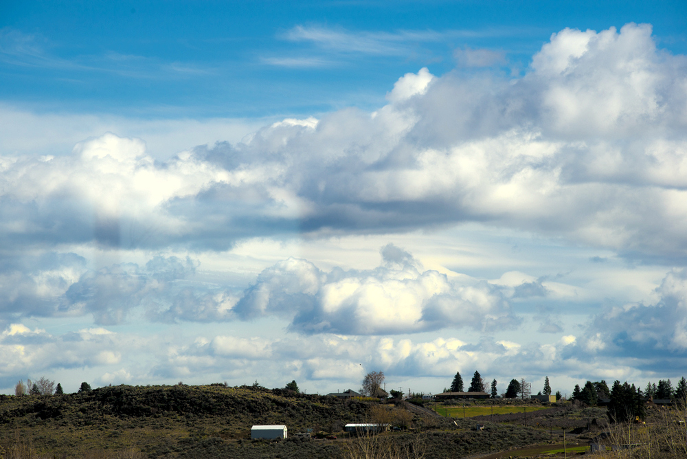 _DSC0701.jpg