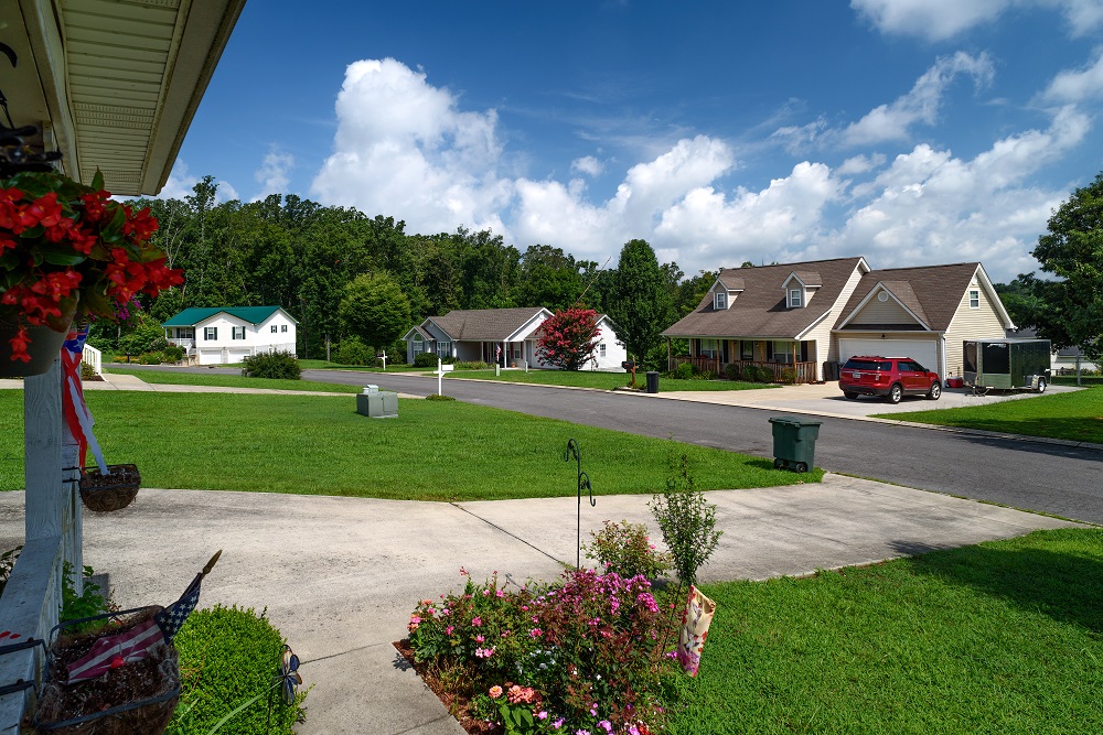 _DSC0741-Edit.jpg _DSC0741-Edit.jpg