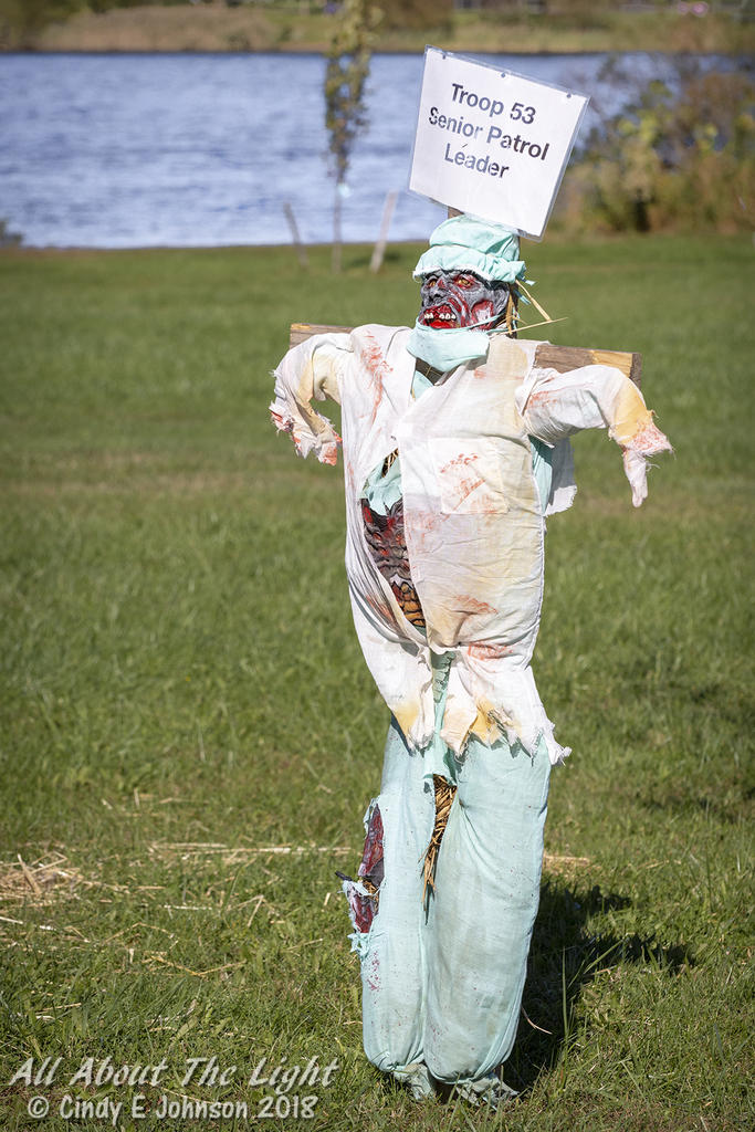 _DSC0795 low res.jpg