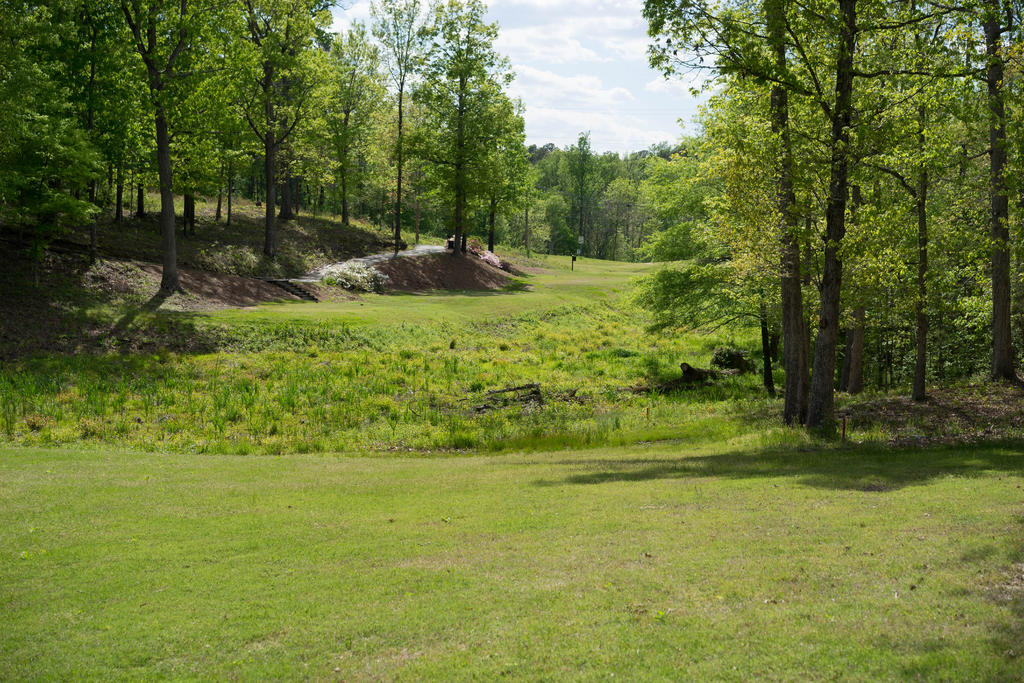 _DSC0806.jpg