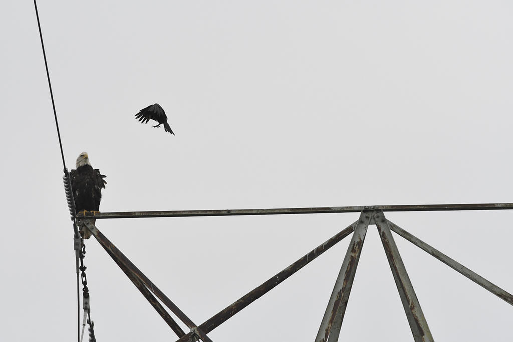 _DSC0990 low res.jpg